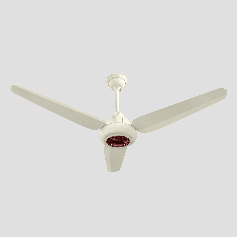 Passion Model - Image 2